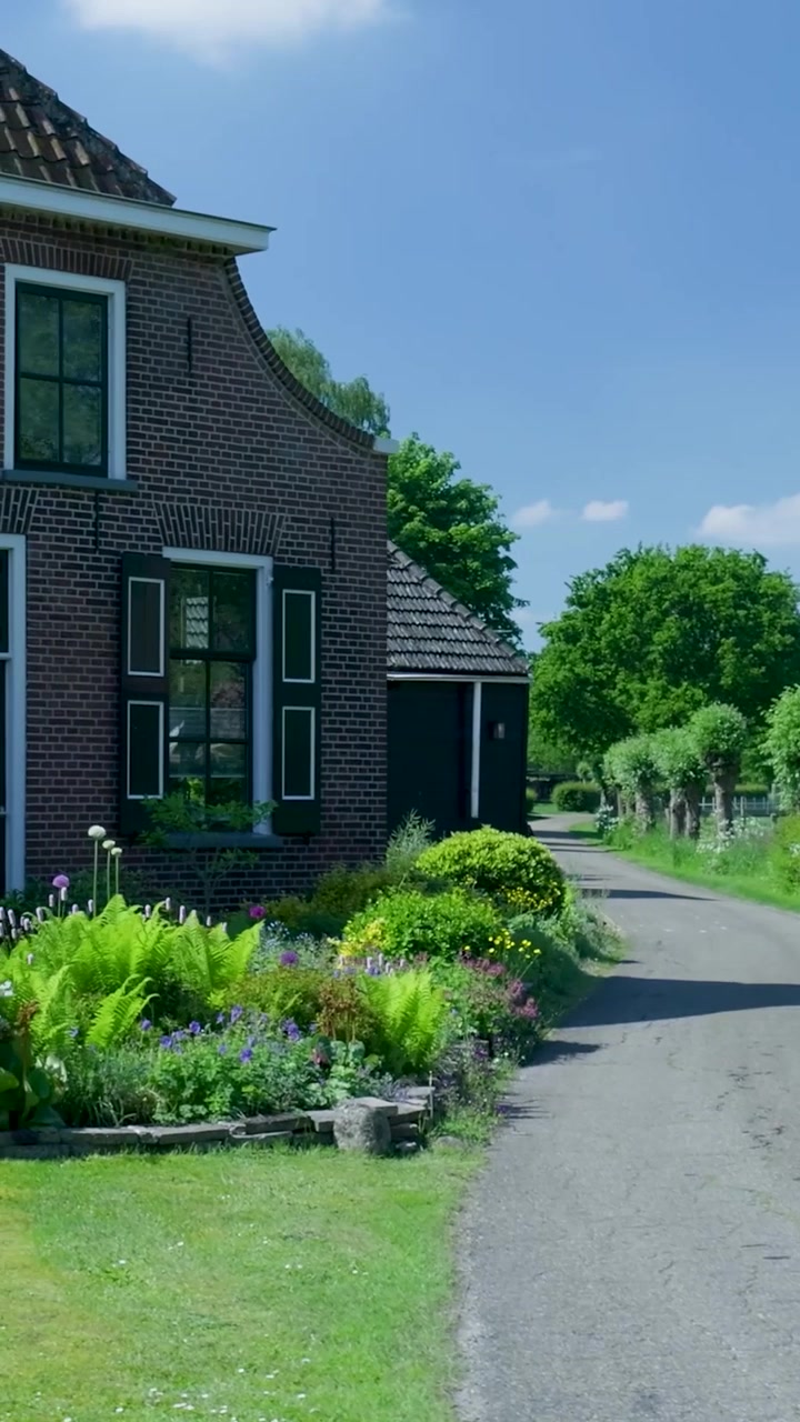 Jalan Pedesaan yang Indah dengan Rumah Pertanian Tradisional Belanda dan Domba yang Merumput