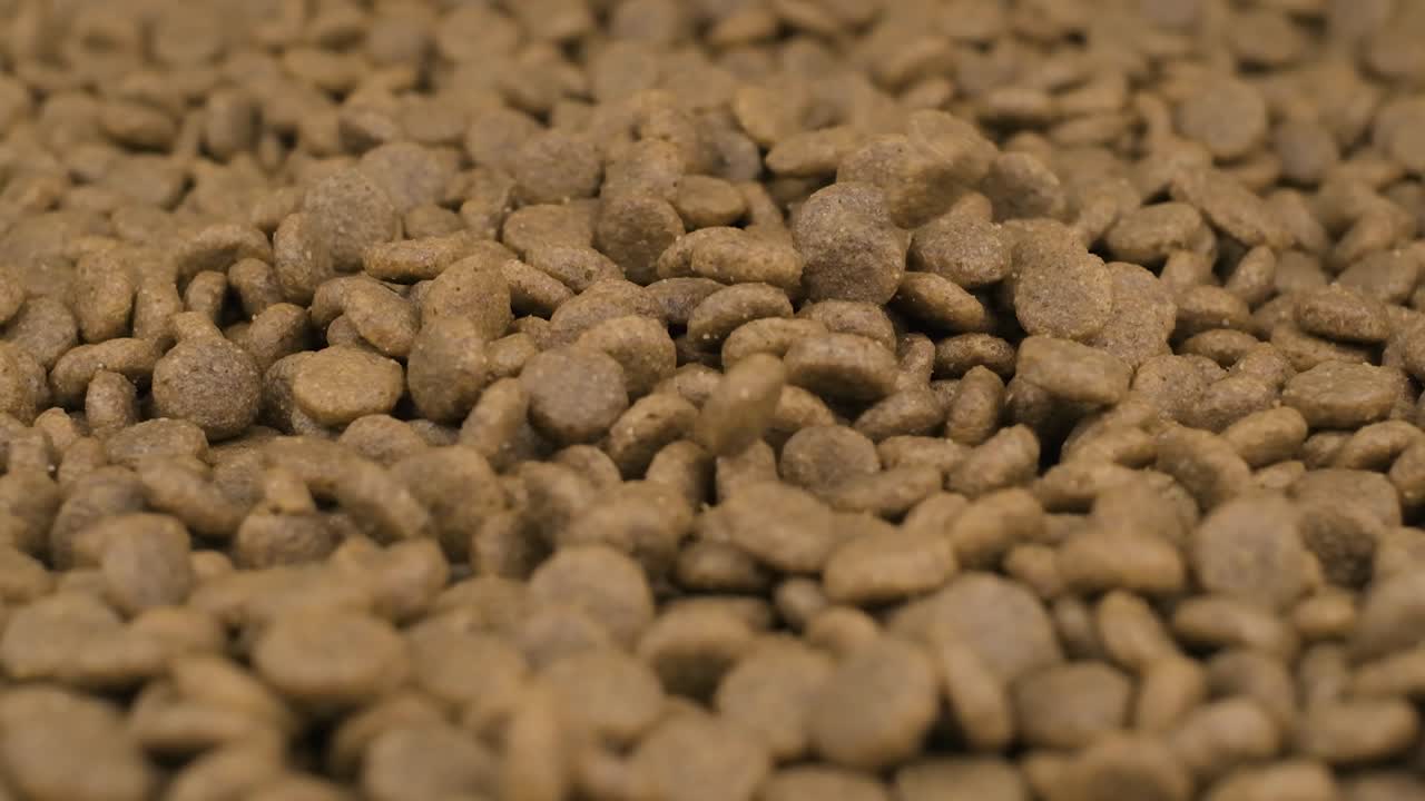 comida seca granulada para perros o gatos cae en una pila en dof poco profundo - cámara lenta de cerca