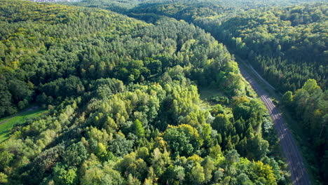 Bahngleise-Kurve-Im-Grünen-Wald,-Aufschlussreiche-Luftsicht