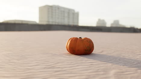 Calabaza-De-Halloween-En-Las-Dunas-De-La-Playa