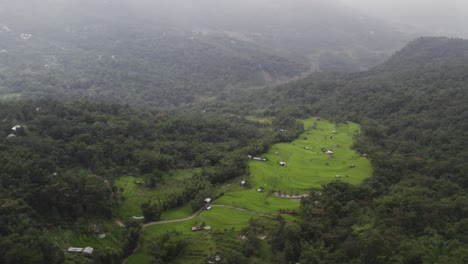 Aerial-Shot-Of-Farming-Lands-On-Mountain-Valley-Forest