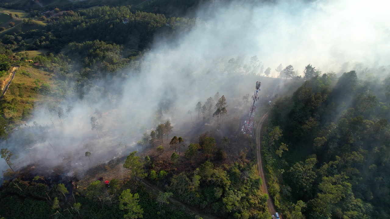 el humo del incendio de la selva tropical en la jungla de una isla tropical