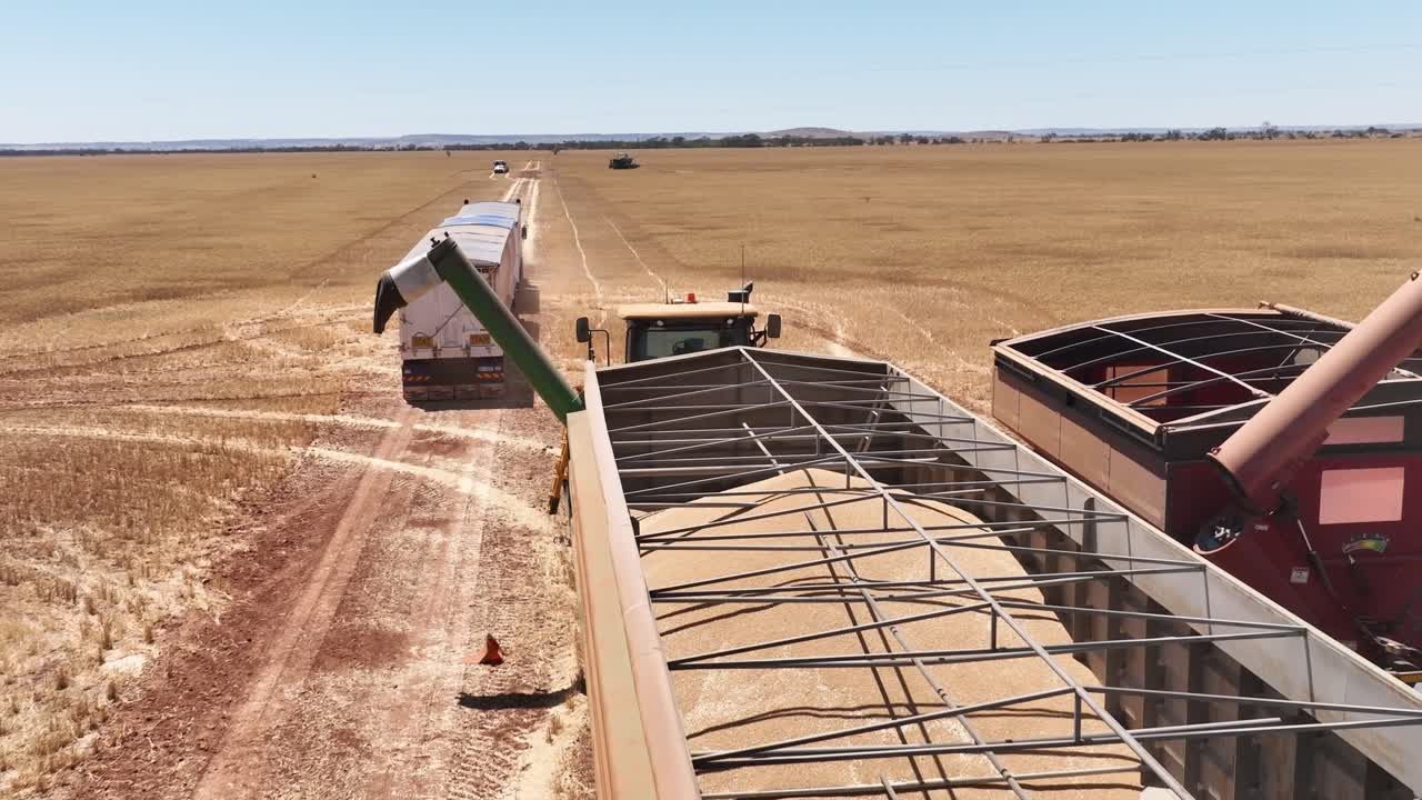 este material captura la sinergia de la tecnología agrícola moderna, mostrando el papel esencial de los frentes de cabecera en el proceso de cosecha de trigo