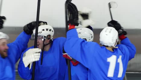 hockey players celebrating goal of their team on reserve bench