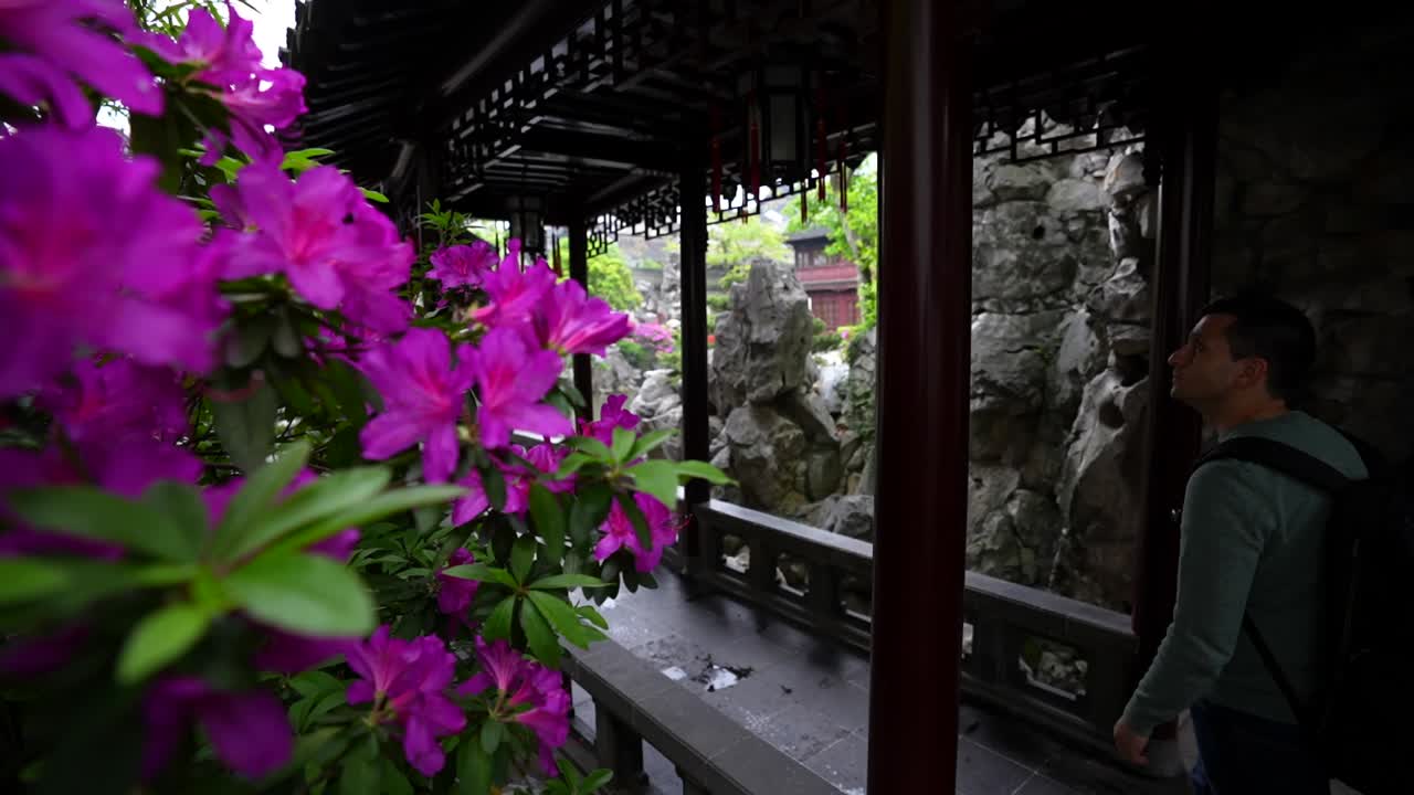 Rack focus between purple flowers in foreground and a tourist walking a corridor at Yuyuan Garden Shanghai China Yuyuan