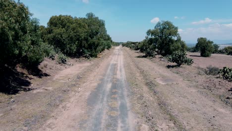 Vista-De-Un-Camino-De-Tierra-En-Medio-Del-Desierto-Mexicano