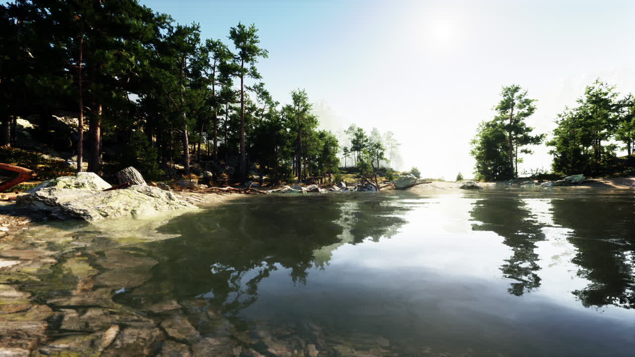 lago de bosque tranquilo