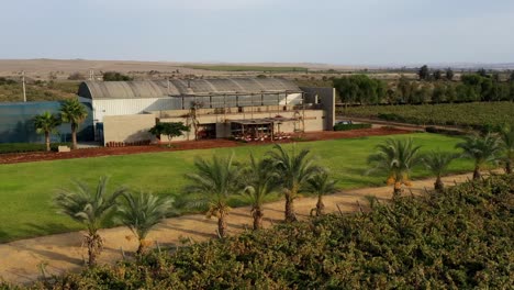 restaurant in vineyard ica peru uhd - timelapse