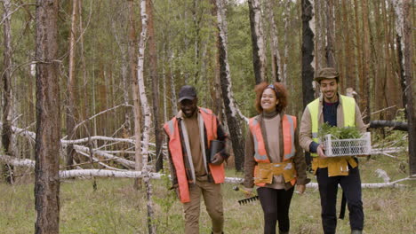 distant view of a group of multiethnic ecologist activists walking in the forest while they holding tools and small trees