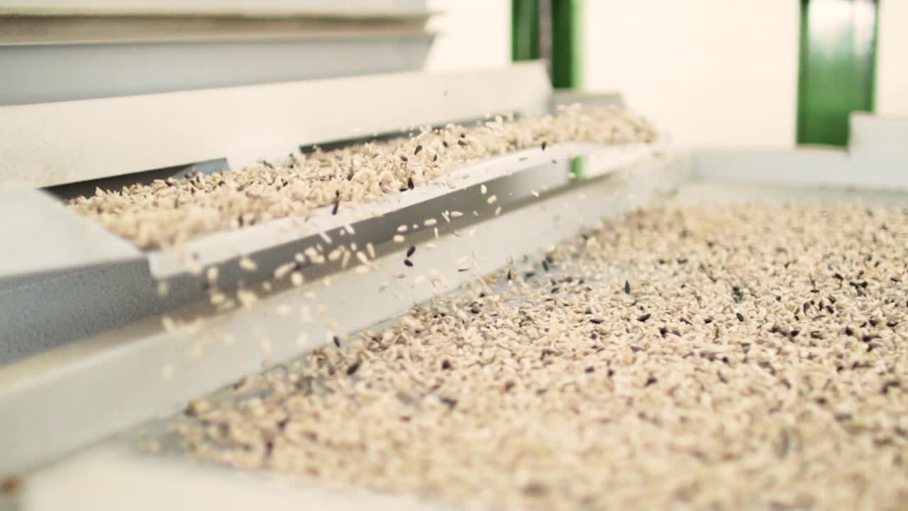 공장에서 질을 벗긴 꽃 씨