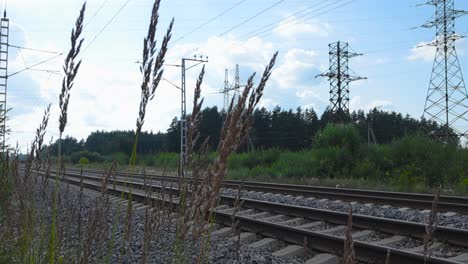 railroad tracks filmed through some tall grass and wheat plants during a summer day while some clouds are in blue sky