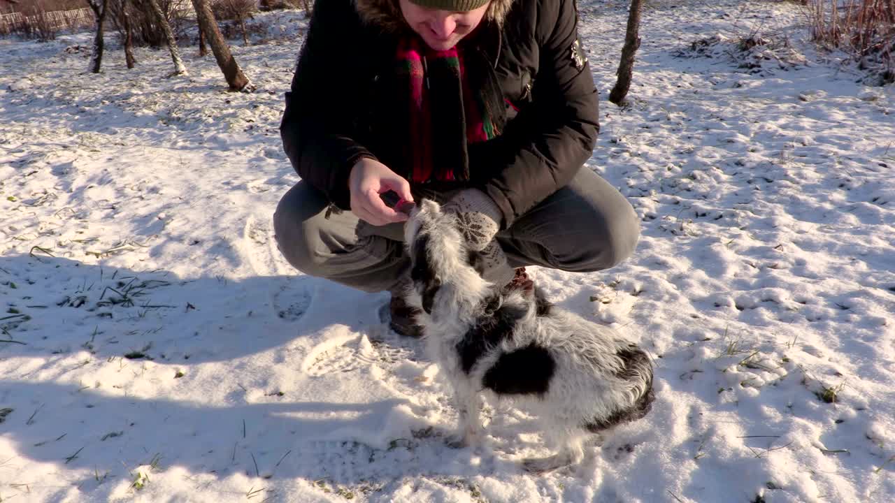 작은 개 를 먹이는 남자