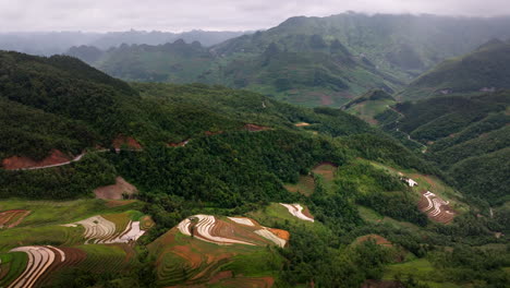 panoramic aerial view of terraced rice field and mountainous landscape in ha giang, vietnam.