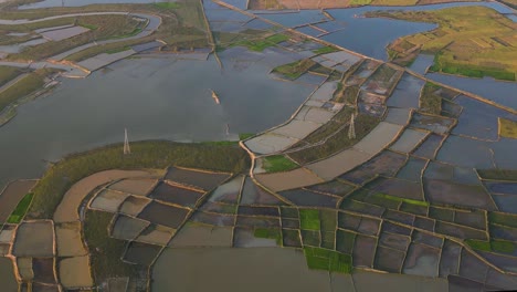 Flooded-paddy-rice-fields-of-Bangladesh,-aerial-drone-view