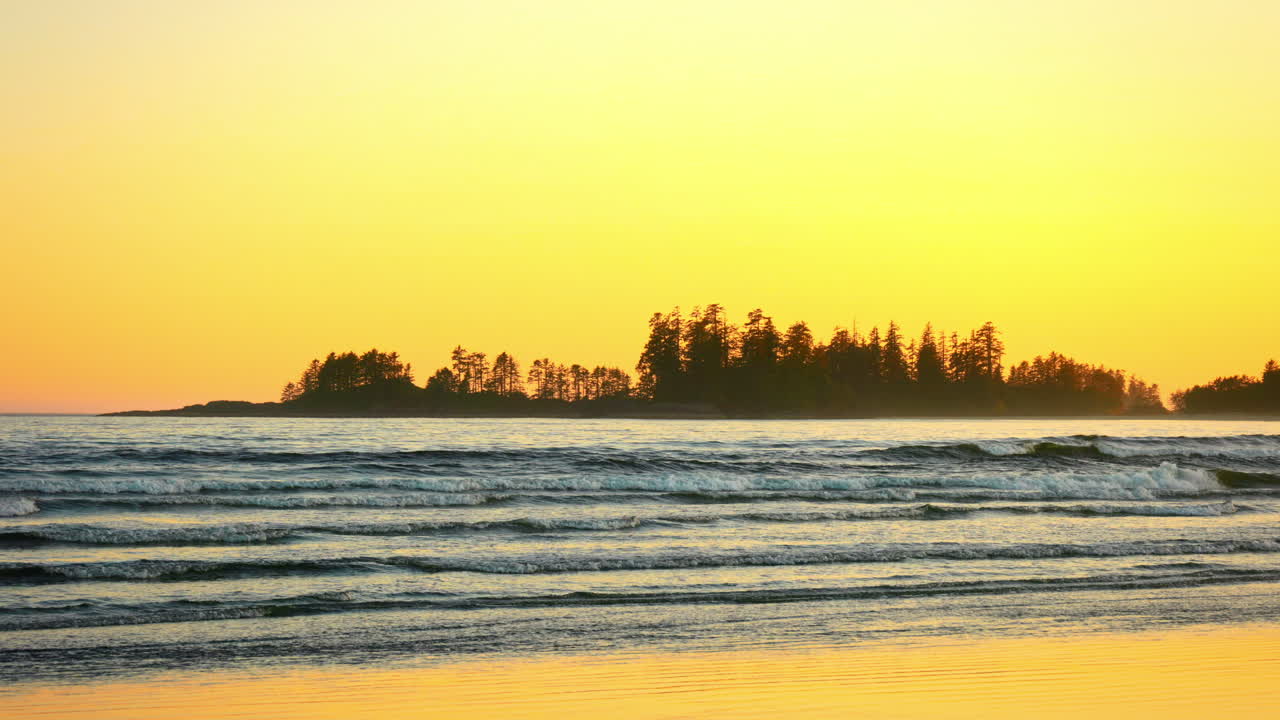 hermosa puesta de sol en una playa de tofino olas rompiendo con árboles en el fondo