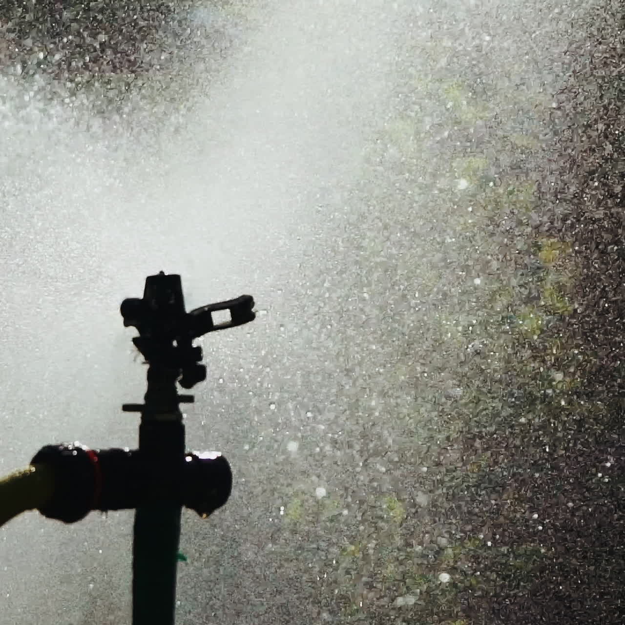 A powerful automatic watering system sprays water in the form of fog on the surrounding area with plants and trees. Close-up. Special drip irrigation.