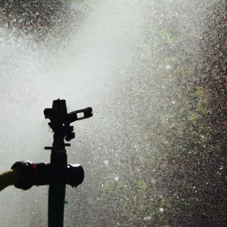 a powerful automatic watering system sprays water in the form of fog on the surrounding area with plants and trees. close-up. special drip irrigation.