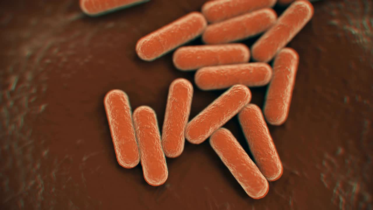 vista microscópica en 4k de una colonia de bacterias.