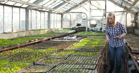 joven botánica examinando una planta en maceta 3