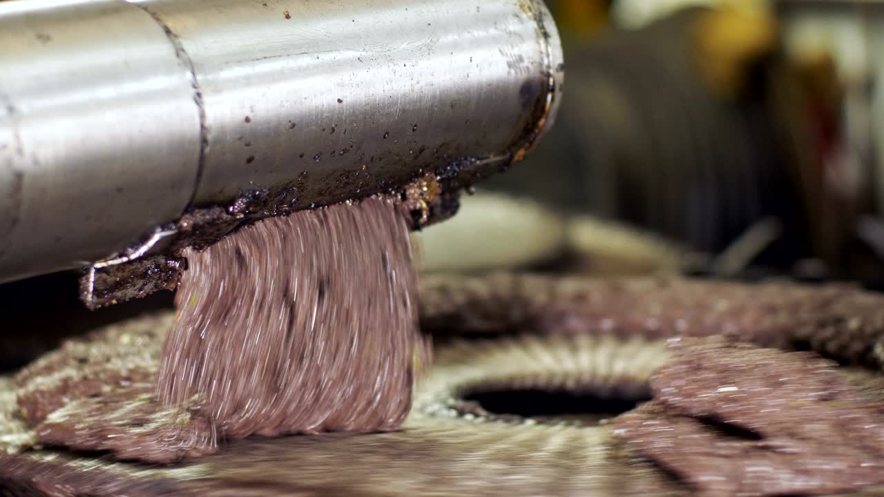 fabricación de aceite de oliva en un molino de aceite de oliva en el sur de italia
