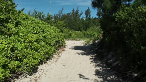 Strandähnliche-Pfade,-Die-Mit-Den-Stränden-Der-Südküste-Von-Bermuda-Verbunden-Sind