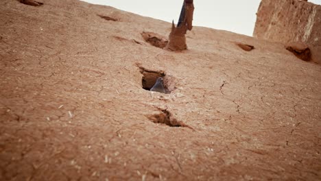 Bird-looking-over-streets-of-a-Moroccan-Desert-Village-on-a-hot-sunny-day,-drifting-handheld-shot