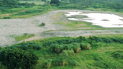 Aerial-view-footage-of-a-swamp-lake-river-with-green-grass-in-a-rural-area-of-south-africa