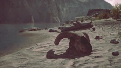 a skull lays on a sandy beach with a lake and mountains in the background.