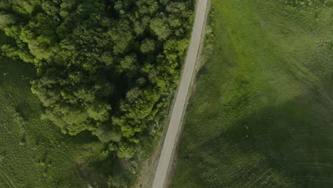 toma aérea del paisaje natural de kojori: una carretera, un campo de hierba y un bosque