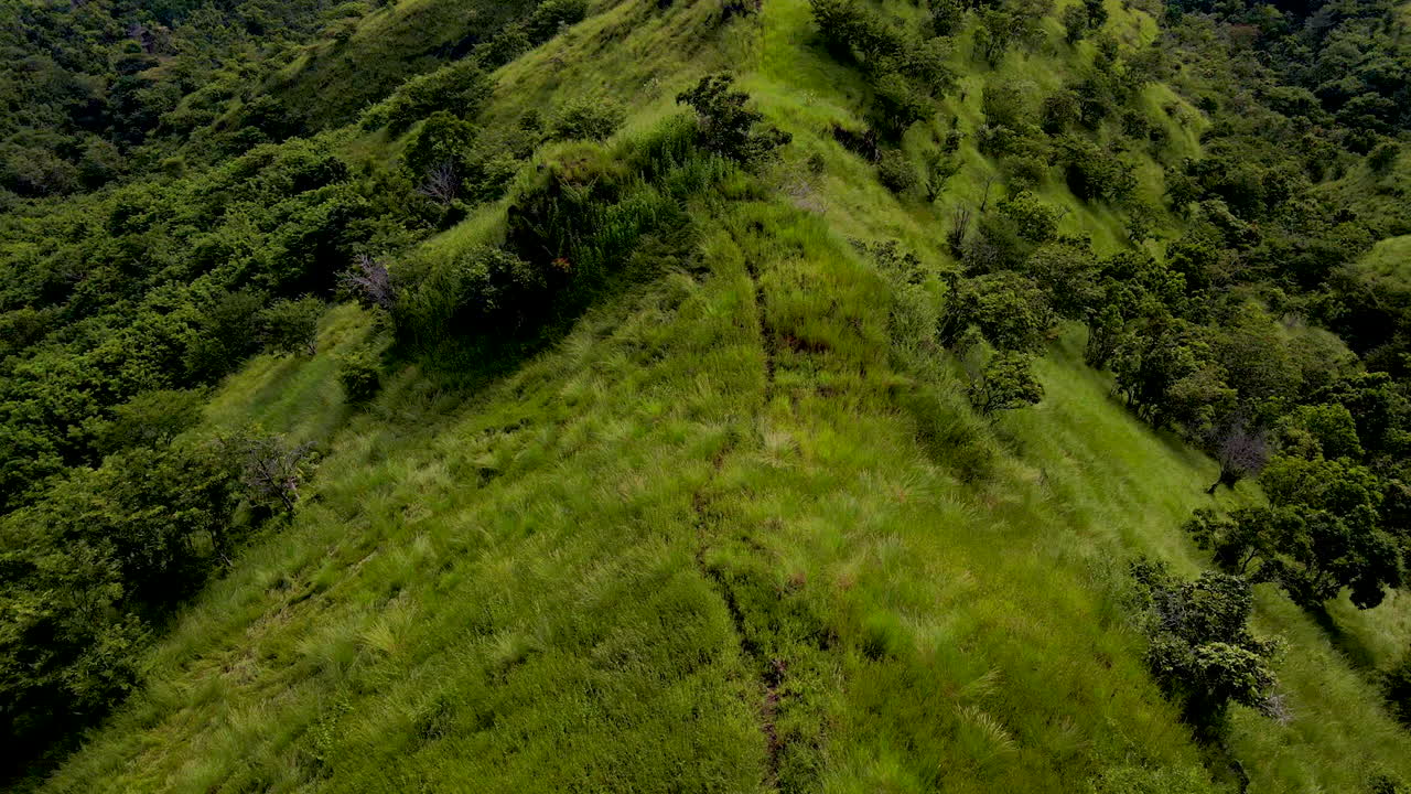 인도네시아 서부 발리 국립공원의 녹색 산봉우리에서 달리는 여성