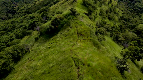 Mujer-Corriendo-En-El-Pico-De-La-Montaña-Verde-En-El-Parque-Nacional-En-El-Oeste-De-Bali,-Indonesia