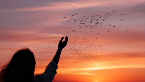 woman releases flock of birds at sunset