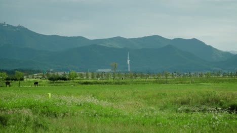 wetlands of saemangeum environment ecological complex against mountain range in background in summer - aerial reveal