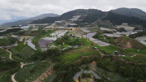 general landscape view of the brinchang district within the cameron highlands area of malaysia