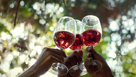 brindis con copas de vino rosado en un día soleado en cámara lenta