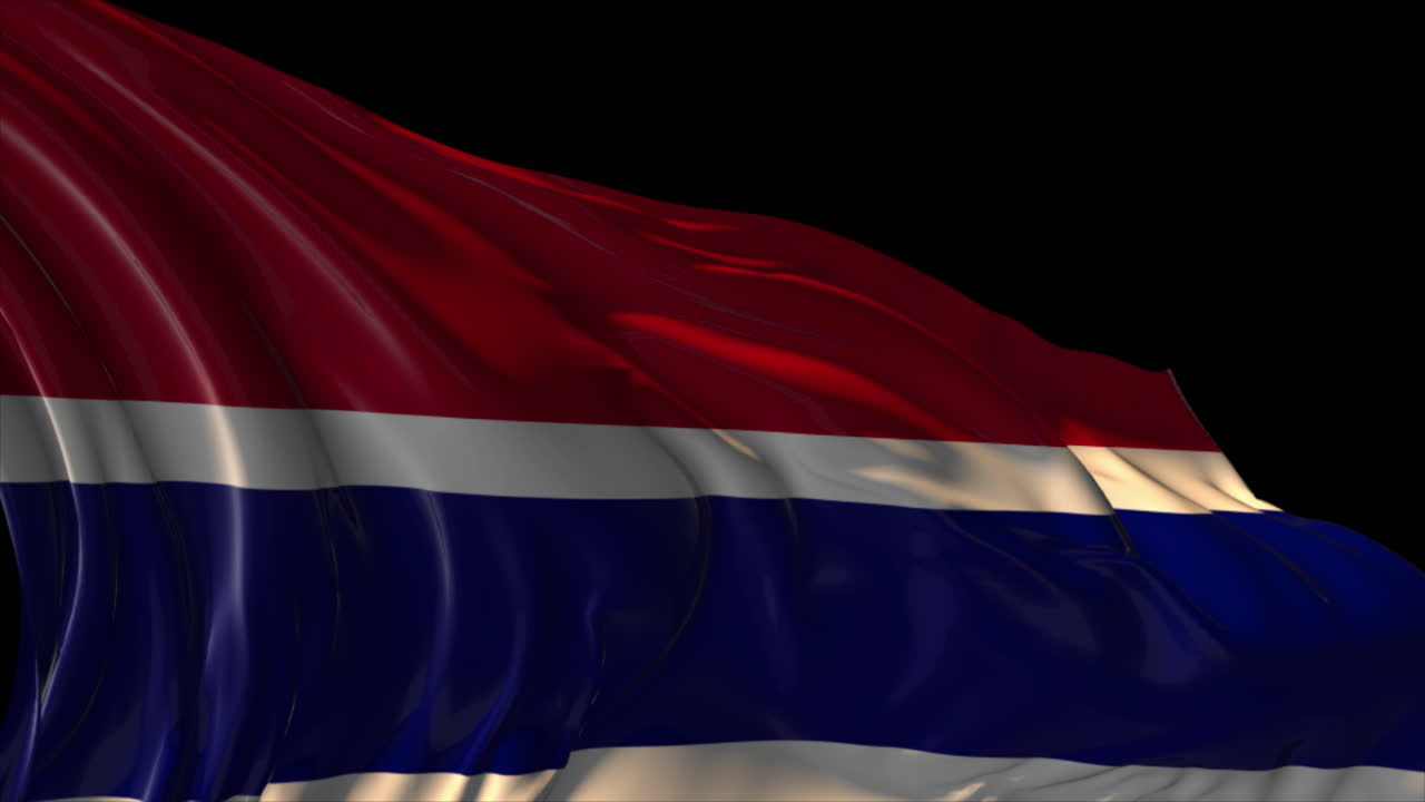 감비아의 발을 흔들고