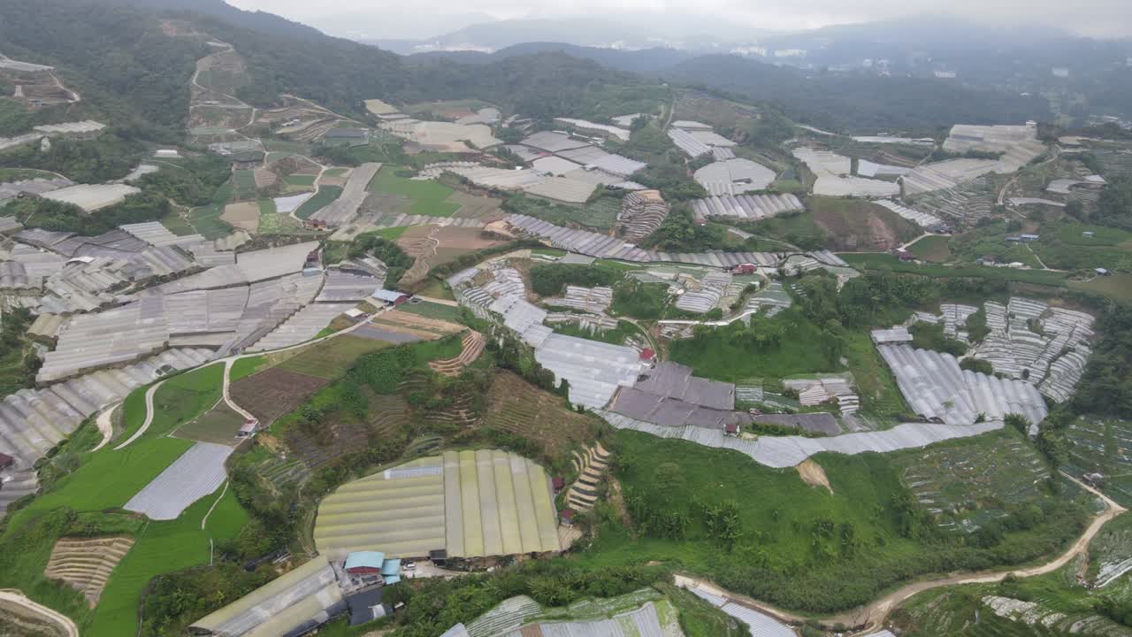 vista general del paisaje del distrito de brinchang dentro del área de cameron highlands de malasia