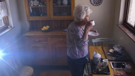 animación de la luz moviéndose sobre una mujer caucásica de alto nivel en la cocina mirando por la ventana bebiendo té