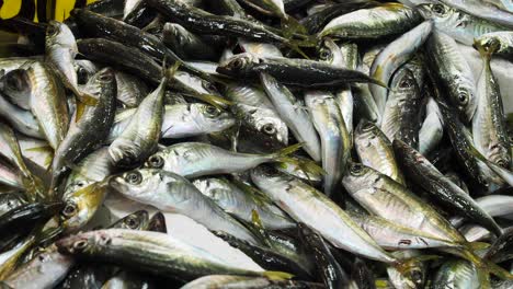 pescado fresco en un mercado