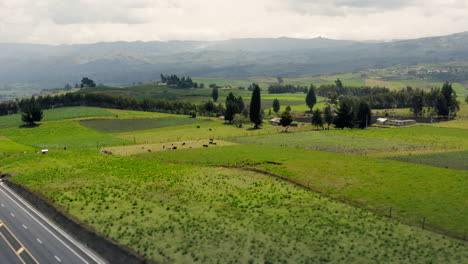 toma aérea del paisaje natural, drone