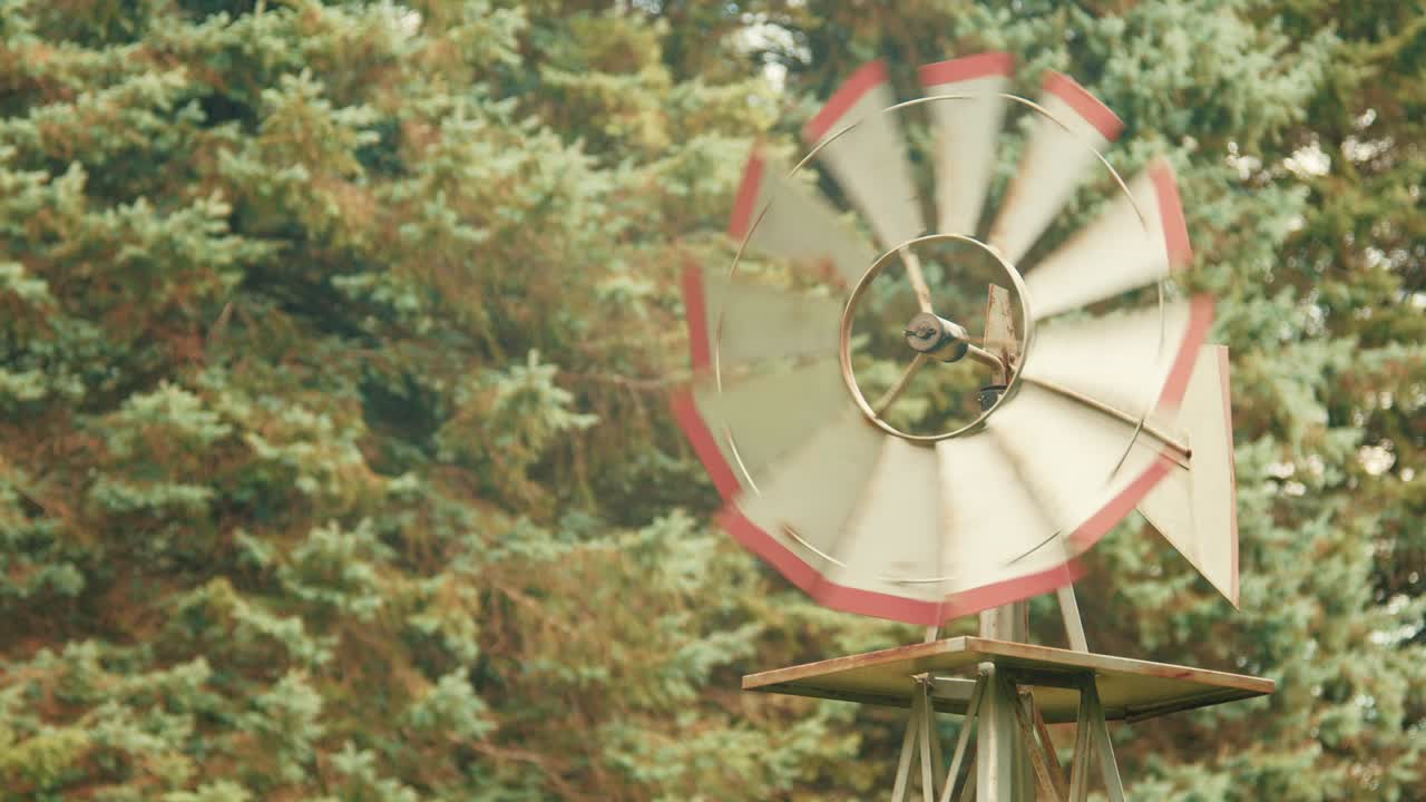 Small Windmill spinning in a backyard surrounded by trees
