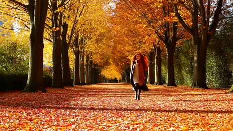 woman walking on an autumn path covered in golden leaves