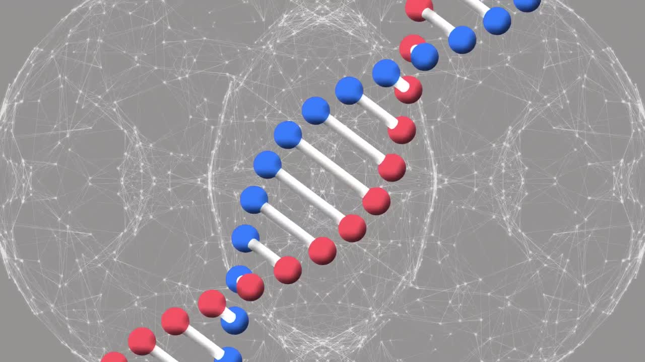 회색 배경에 연결된 지구상의 dna 스트랜드의 애니메이션.