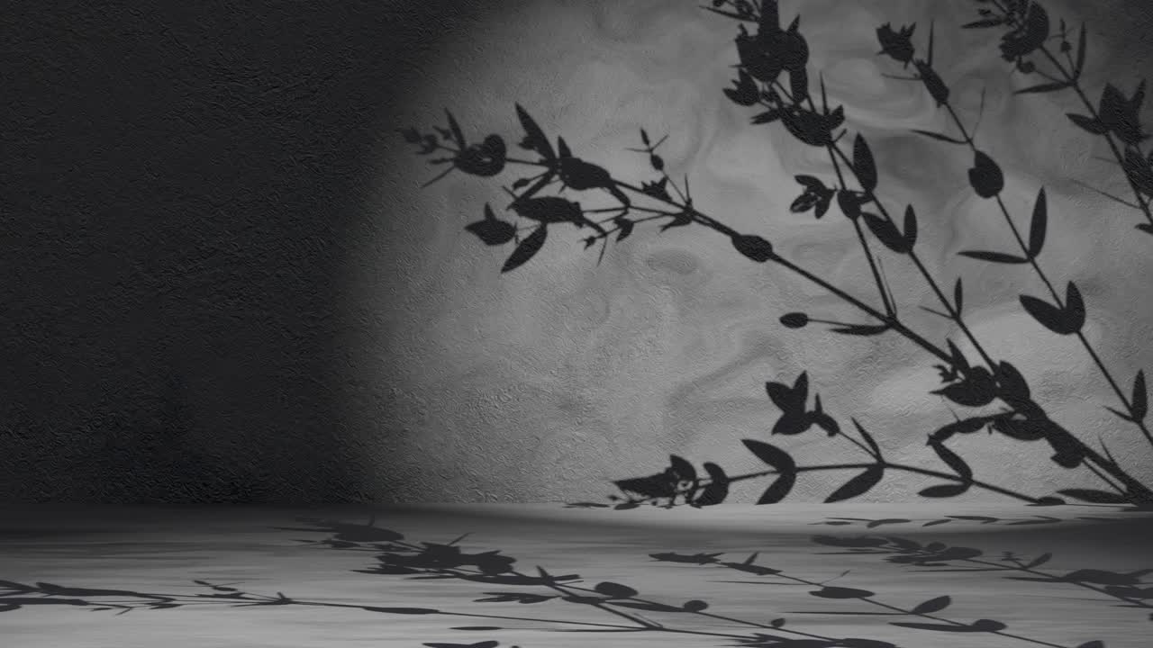 Plant tree leaf shadow gently moving by breeze on black wall background animation loop rendering nature calm relaxing concept background display product