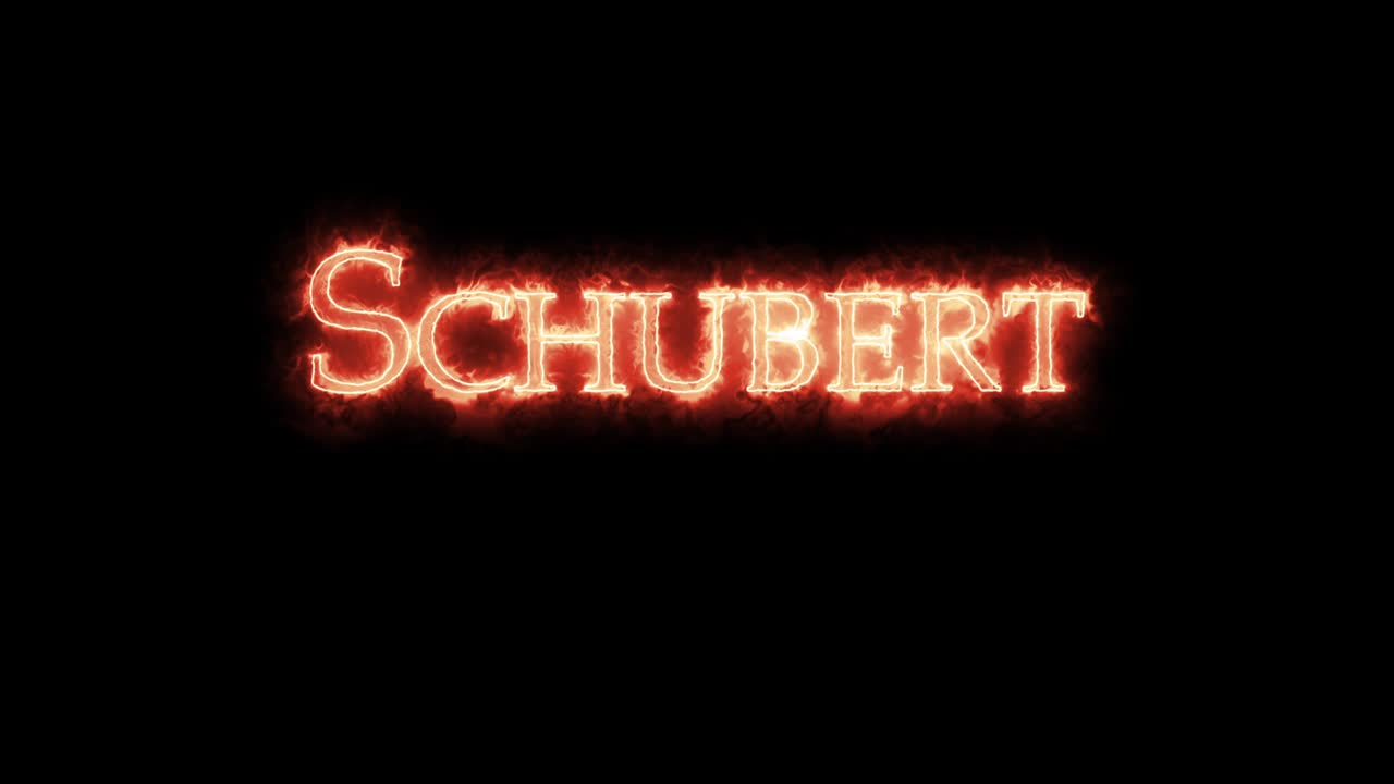 schubert escrito con fuego.