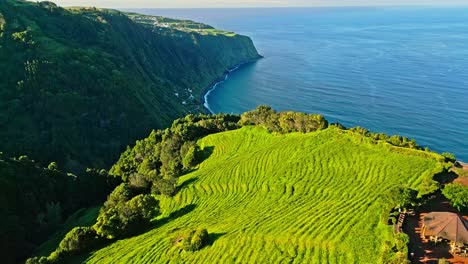 lush green fields by a cliffside in miradouros ponta da madrugada, portugal, aerial view