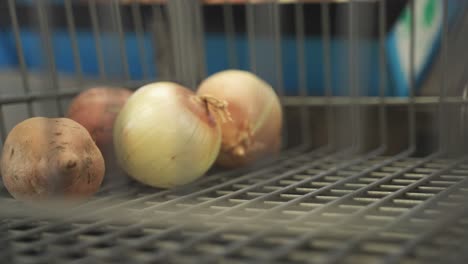 shopper hand placing onions in shopping cart at a grocery store in minnesota, usa.