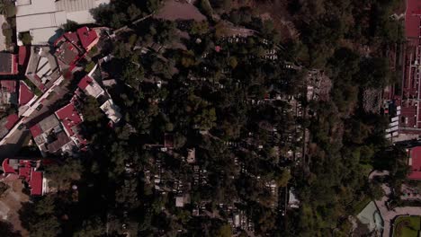 The-huge-graveyard-near-Badilica-de-Guadalupe-is-a-sacred-place-in-mexico-city