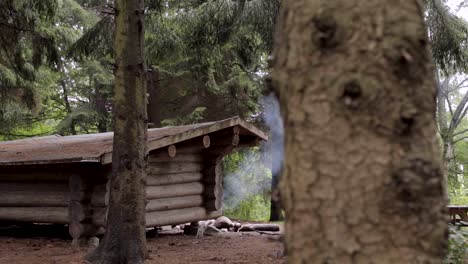 humo saliendo de una fogata cerca de un refugio de cabaña de madera en el bosque