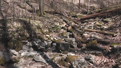 broken trees in dry river on the mountain